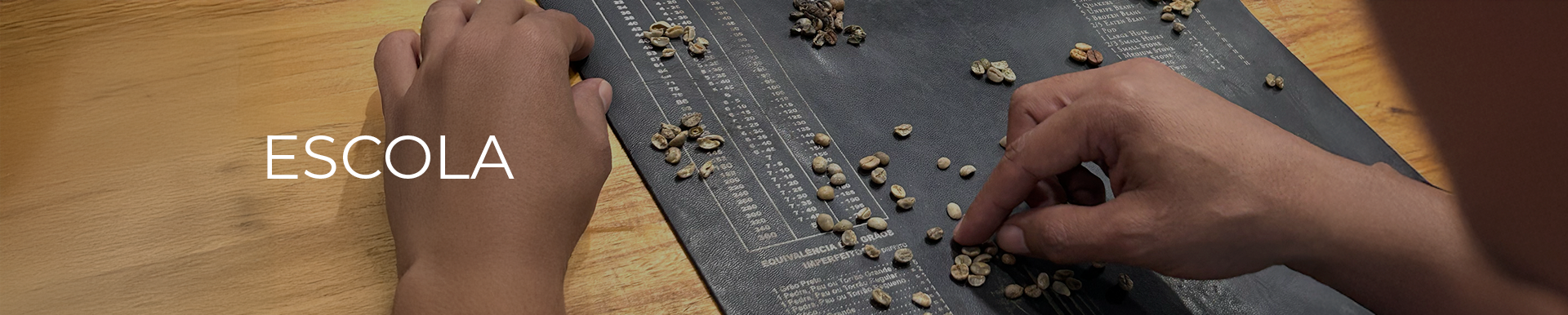 ESCOLA